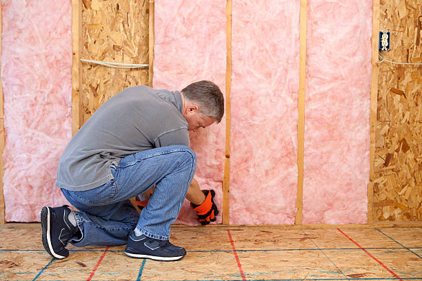 Best Insulation Materials and Products in Robinhood, MS